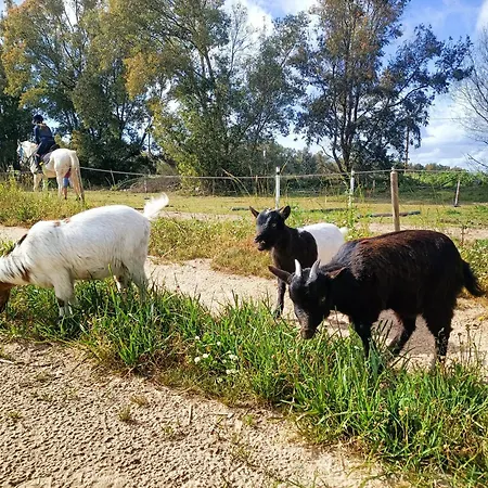 L'oasi Del Relax * Arborea